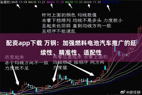 配资app下载 万钢：加强燃料电池汽车推广的延续性、精准性、适配性