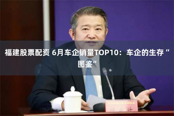 福建股票配资 6月车企销量TOP10：车企的生存“图鉴”