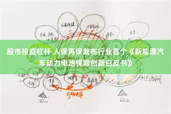 股市投资杠杆 人保再保发布行业首个《新能源汽车动力电池保险创新白皮书》