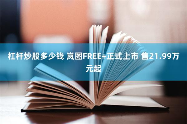 杠杆炒股多少钱 岚图FREE+正式上市 售21.99万元起