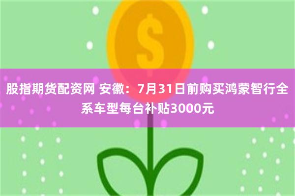 股指期货配资网 安徽：7月31日前购买鸿蒙智行全系车型每台补贴3000元