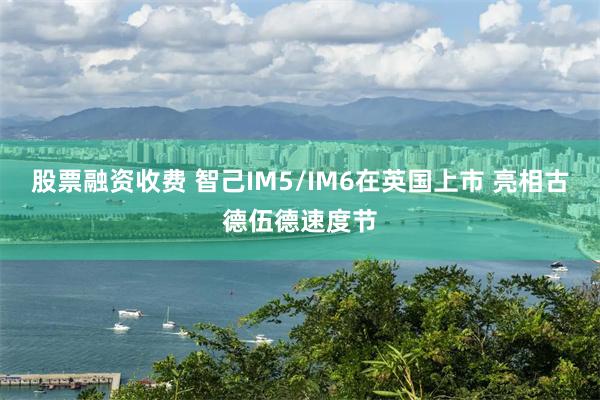 股票融资收费 智己IM5/IM6在英国上市 亮相古德伍德速度节