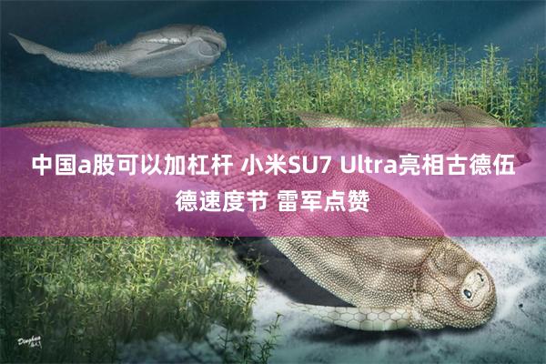 中国a股可以加杠杆 小米SU7 Ultra亮相古德伍德速度节 雷军点赞