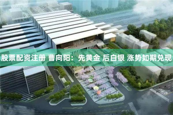 股票配资注册 曹向阳：先黄金 后白银 涨势如期兑现