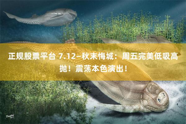正规股票平台 7.12—秋末悔城：周五完美低吸高抛！震荡本色演出！