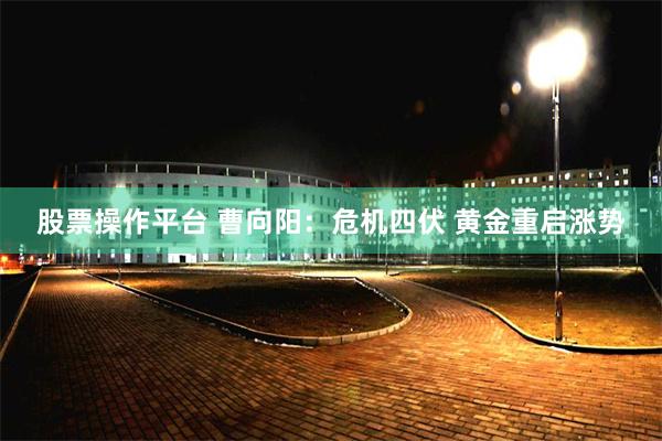 股票操作平台 曹向阳：危机四伏 黄金重启涨势