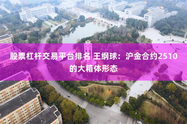 股票杠杆交易平台排名 王纲球：沪金合约2510的大箱体形态