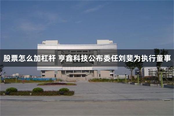 股票怎么加杠杆 亨鑫科技公布委任刘斐为执行董事