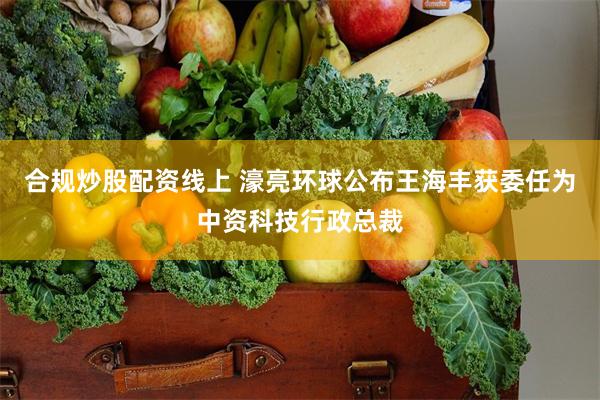 合规炒股配资线上 濠亮环球公布王海丰获委任为中资科技行政总裁