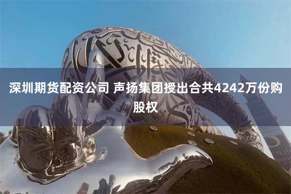 深圳期货配资公司 声扬集团授出合共4242万份购股权