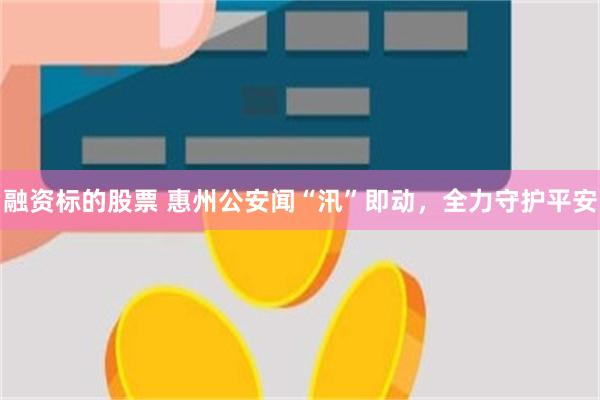 融资标的股票 惠州公安闻“汛”即动，全力守护平安