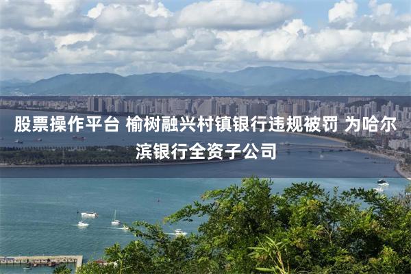 股票操作平台 榆树融兴村镇银行违规被罚 为哈尔滨银行全资子公司