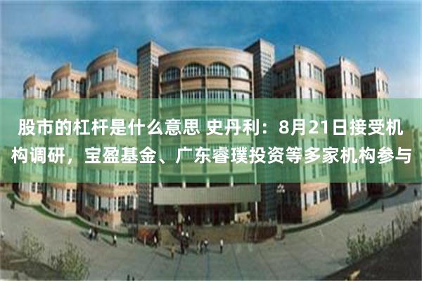 股市的杠杆是什么意思 史丹利：8月21日接受机构调研，宝盈基金、广东睿璞投资等多家机构参与