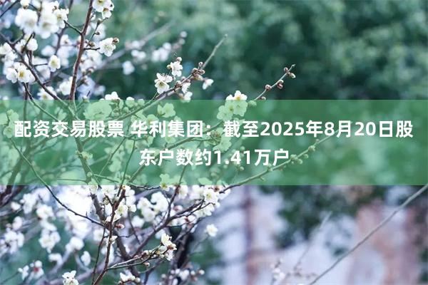 配资交易股票 华利集团：截至2025年8月20日股东户数约1.41万户