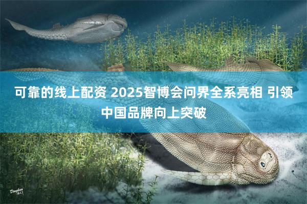 可靠的线上配资 2025智博会问界全系亮相 引领中国品牌向上突破