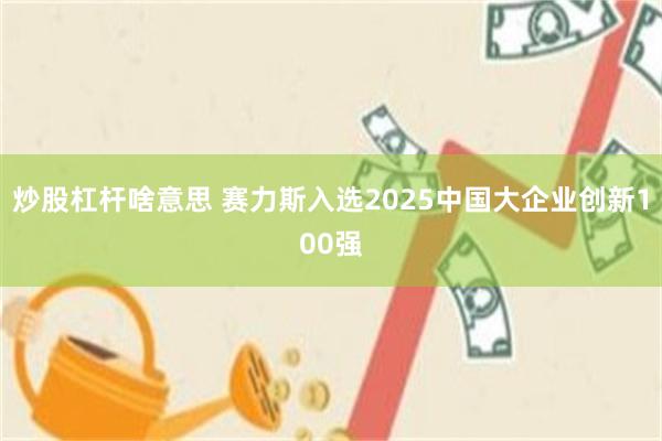 炒股杠杆啥意思 赛力斯入选2025中国大企业创新100强