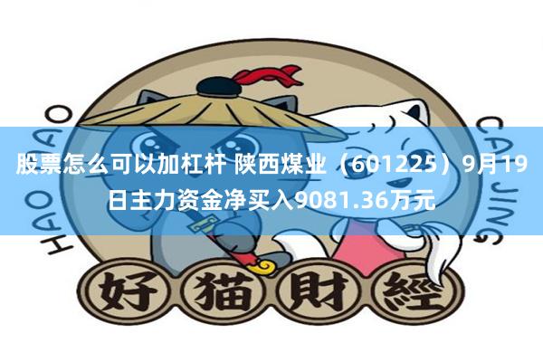 股票怎么可以加杠杆 陕西煤业(601225)9月19日主力资金净买入9081.36万元