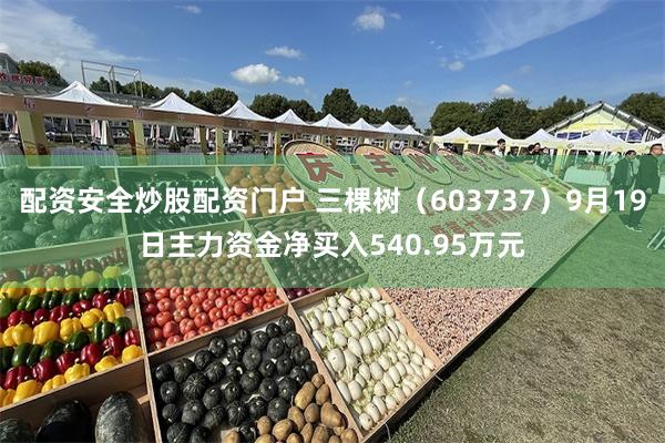 配资安全炒股配资门户 三棵树(603737)9月19日主力资金净买入540.95万元