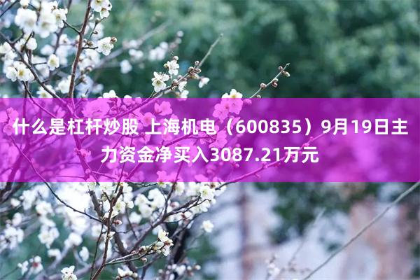 什么是杠杆炒股 上海机电（600835）9月19日主力资金净买入3087.21万元