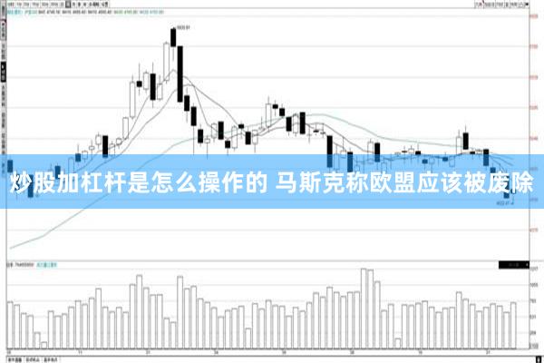 炒股加杠杆是怎么操作的 马斯克称欧盟应该被废除