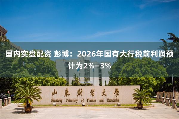 国内实盘配资 彭博:2026年国有大行税前利润预计为2%—3%