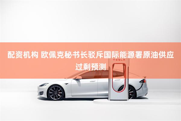 配资机构 欧佩克秘书长驳斥国际能源署原油供应过剩预测