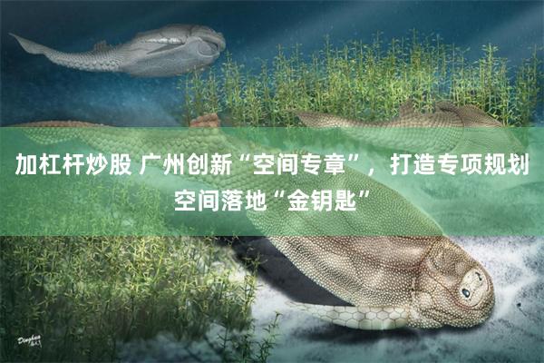 加杠杆炒股 广州创新“空间专章”，打造专项规划空间落地“金钥匙”