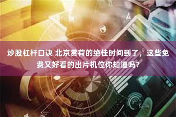 炒股杠杆口诀 北京赏荷的绝佳时间到了，这些免费又好看的出片机位你知道吗？