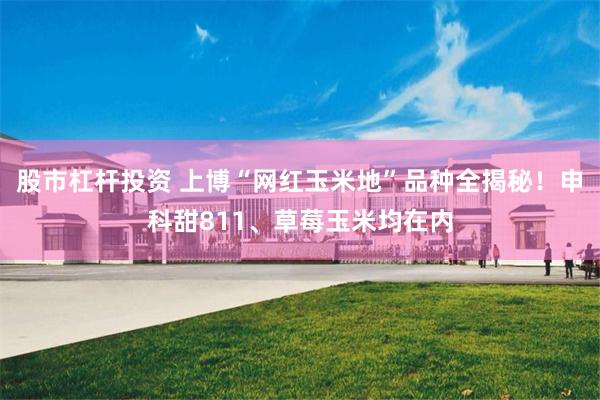 股市杠杆投资 上博“网红玉米地”品种全揭秘！申科甜811、草莓玉米均在内