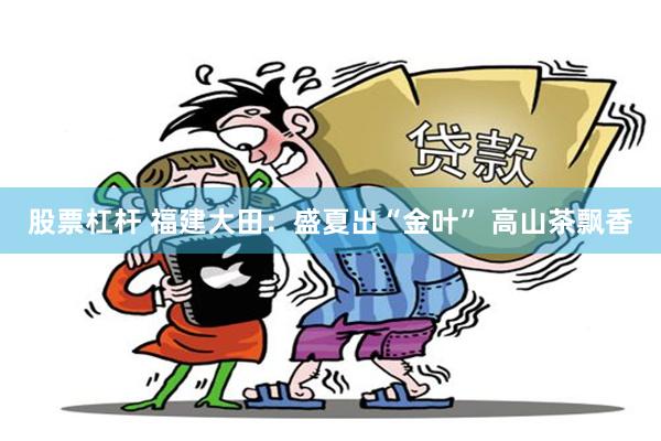股票杠杆 福建大田：盛夏出“金叶” 高山茶飘香