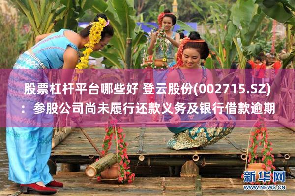股票杠杆平台哪些好 登云股份(002715.SZ)：参股公司尚未履行还款义务及银行借款逾期