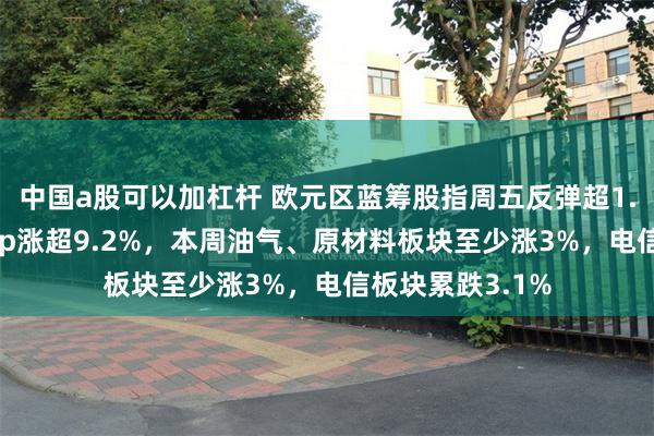 中国a股可以加杠杆 欧元区蓝筹股指周五反弹超1.1%、成分股Sap涨超9.2%，本周油气、原材料板块至少涨3%，电信板块累跌3.1%