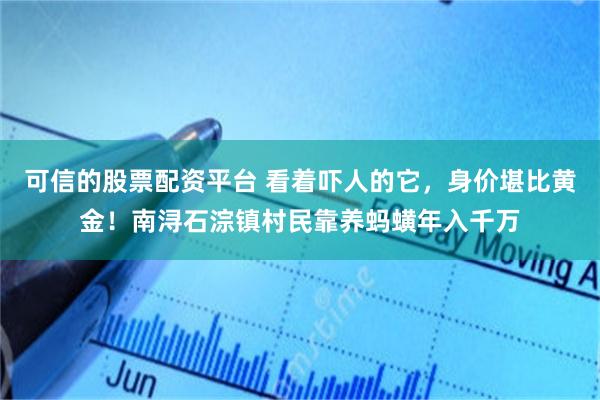 可信的股票配资平台 看着吓人的它，身价堪比黄金！南浔石淙镇村民靠养蚂蟥年入千万