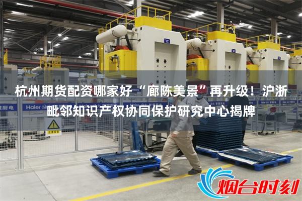 杭州期货配资哪家好 “廊陈美景”再升级！沪浙毗邻知识产权协同保护研究中心揭牌