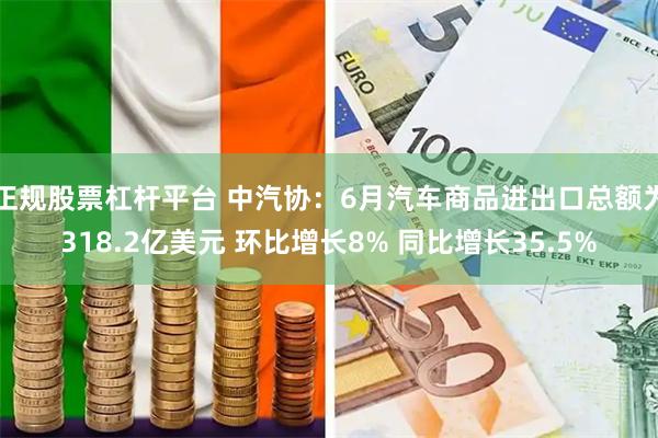 正规股票杠杆平台 中汽协：6月汽车商品进出口总额为318.2亿美元 环比增长8% 同比增长35.5%