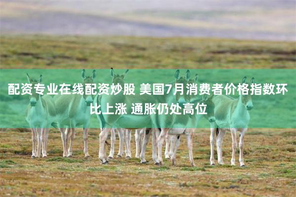 配资专业在线配资炒股 美国7月消费者价格指数环比上涨 通胀仍处高位