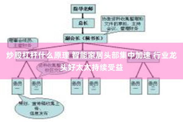 炒股杠杆什么原理 智能家居头部集中加速 行业龙头好太太持续受益
