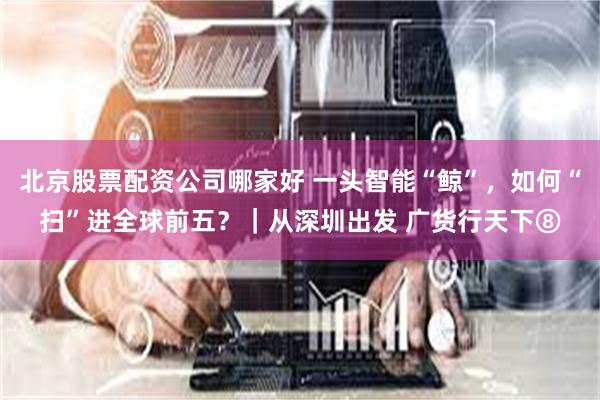 北京股票配资公司哪家好 一头智能“鲸”，如何“扫”进全球前五？｜从深圳出发 广货行天下⑧