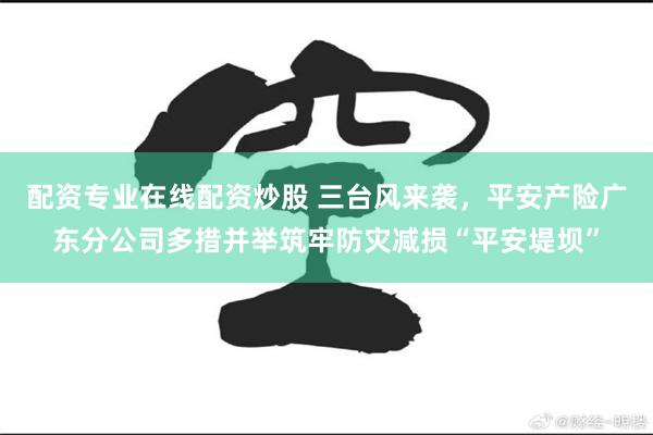 配资专业在线配资炒股 三台风来袭，平安产险广东分公司多措并举筑牢防灾减损“平安堤坝”