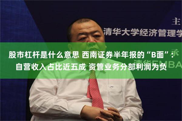 股市杠杆是什么意思 西南证券半年报的“B面”：自营收入占比近五成 资管业务分部利润为负
