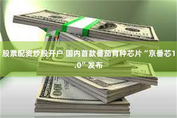 股票配资炒股开户 国内首款番茄育种芯片“京番芯1.0”发布