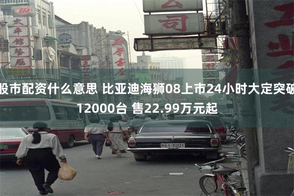 股市配资什么意思 比亚迪海狮08上市24小时大定突破12000台 售22.99万元起