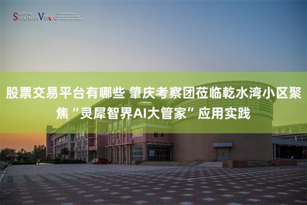 股票交易平台有哪些 肇庆考察团莅临乾水湾小区聚焦“灵犀智界AI大管家”应用实践