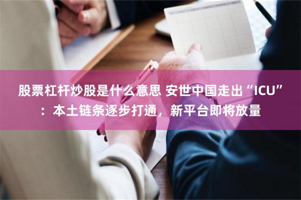 股票杠杆炒股是什么意思 安世中国走出“ICU”：本土链条逐步打通，新平台即将放量