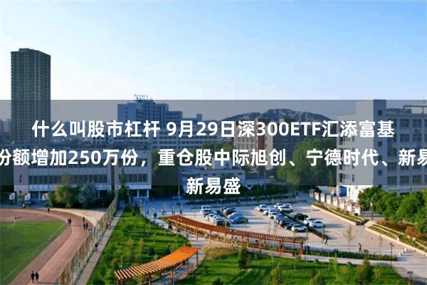 什么叫股市杠杆 9月29日深300ETF汇添富基金份额增加250万份，重仓股中际旭创、宁德时代、新易盛