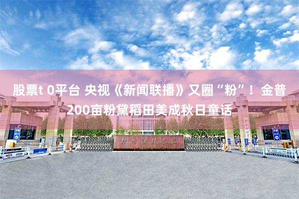 股票t 0平台 央视《新闻联播》又圈“粉”！金普200亩粉黛稻田美成秋日童话