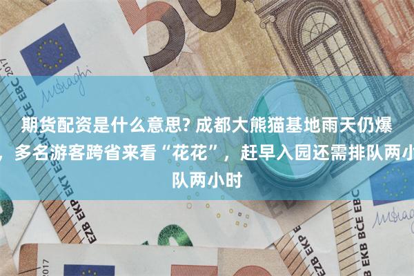 期货配资是什么意思? 成都大熊猫基地雨天仍爆满，多名游客跨省来看“花花”，赶早入园还需排队两小时