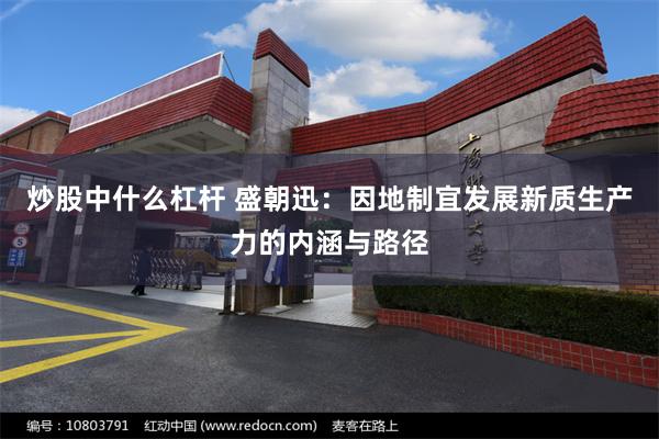 炒股中什么杠杆 盛朝迅：因地制宜发展新质生产力的内涵与路径