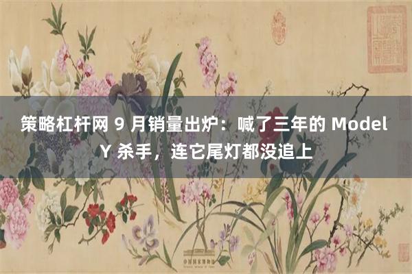 策略杠杆网 9 月销量出炉：喊了三年的 Model Y 杀手，连它尾灯都没追上