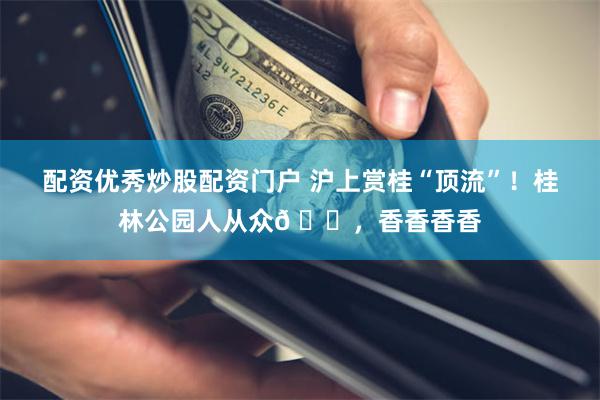 配资优秀炒股配资门户 沪上赏桂“顶流”！桂林公园人从众𠈌，香香香香